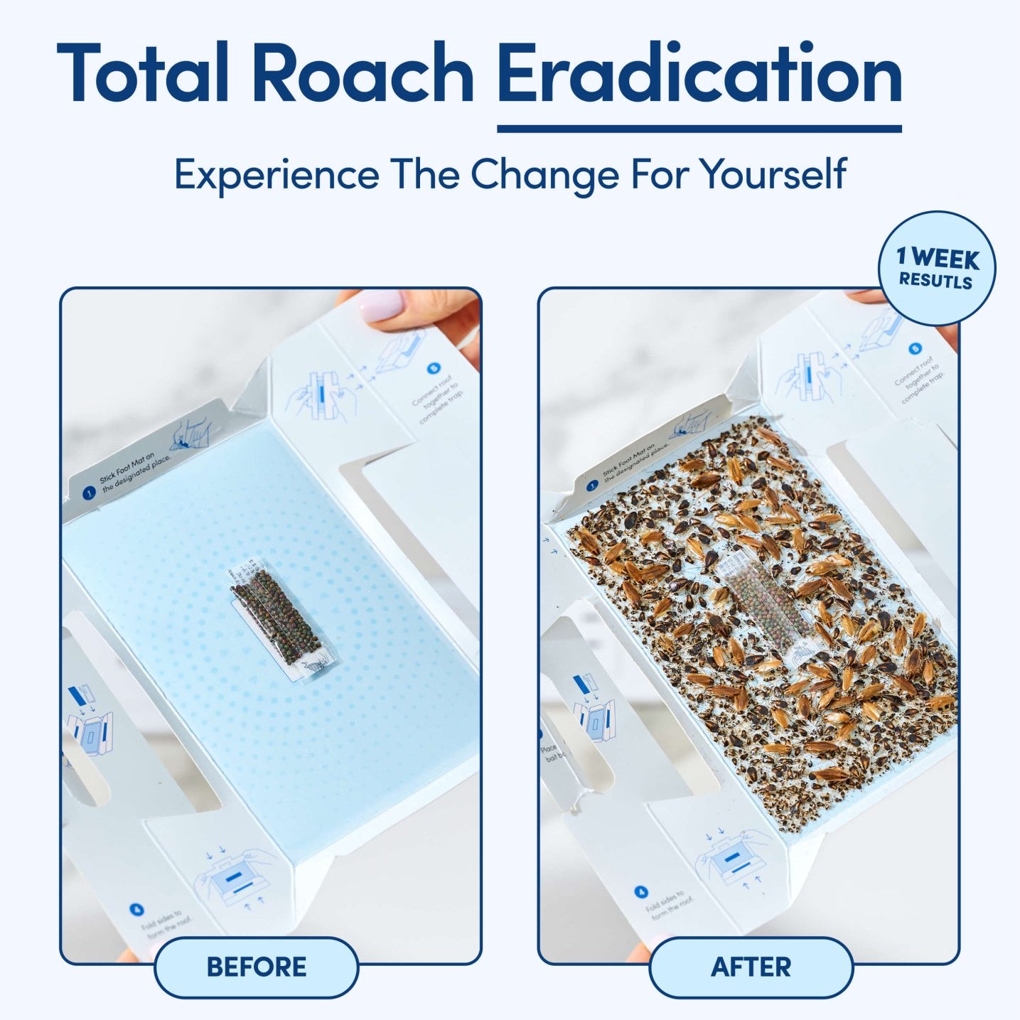 Shieldeck Roach Traps Indoor (12 Pack) - Shieldeck