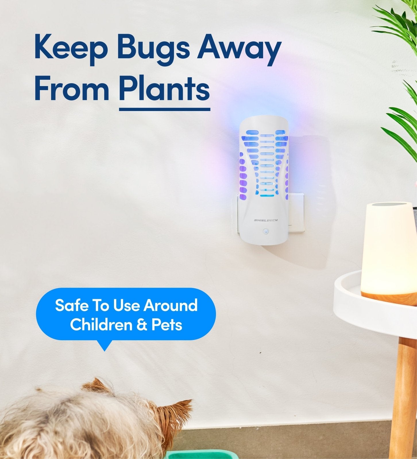 Shieldeck® BuzzTrap – Smart Indoor UV Trap for Flies, Gnats, Mosquitoes, Fruit Flies & More (Copy) - Shieldeck