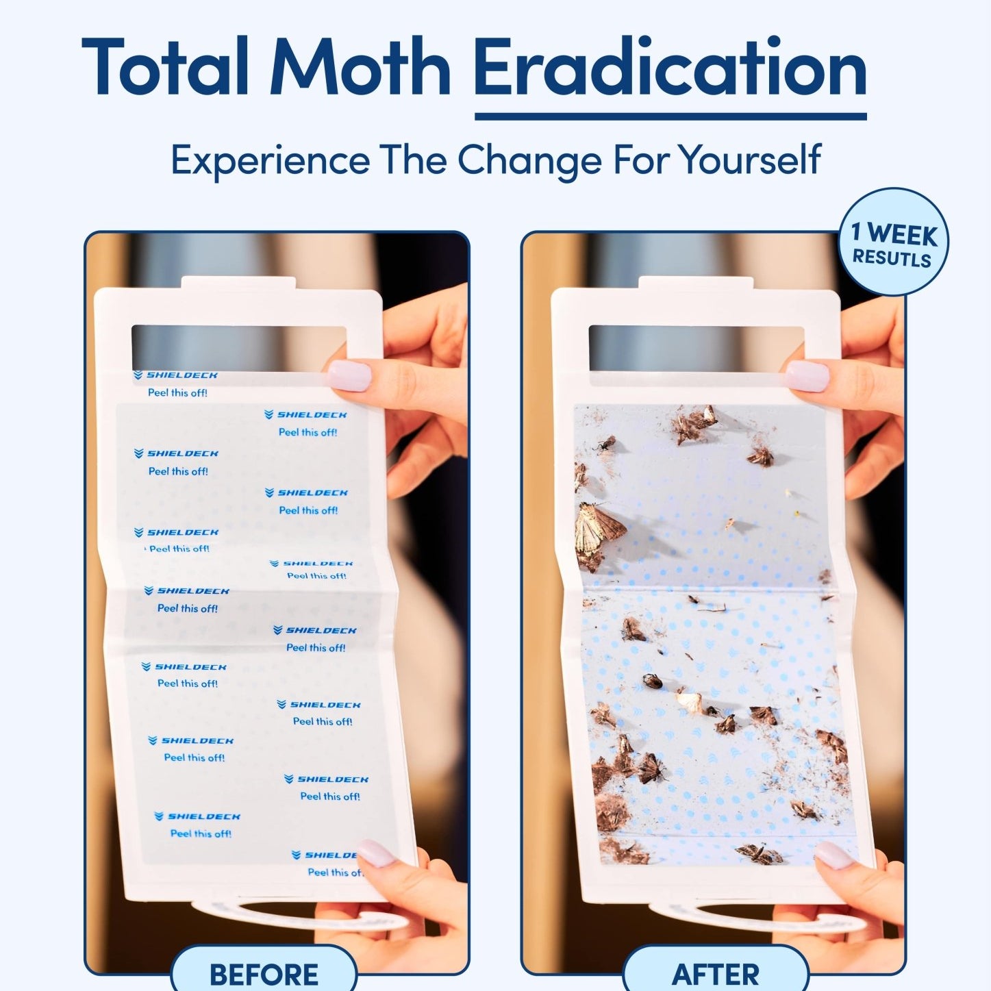 Shieldeck Moth Traps for Clothes with Pheromones (8 - Pack) - Shieldeck