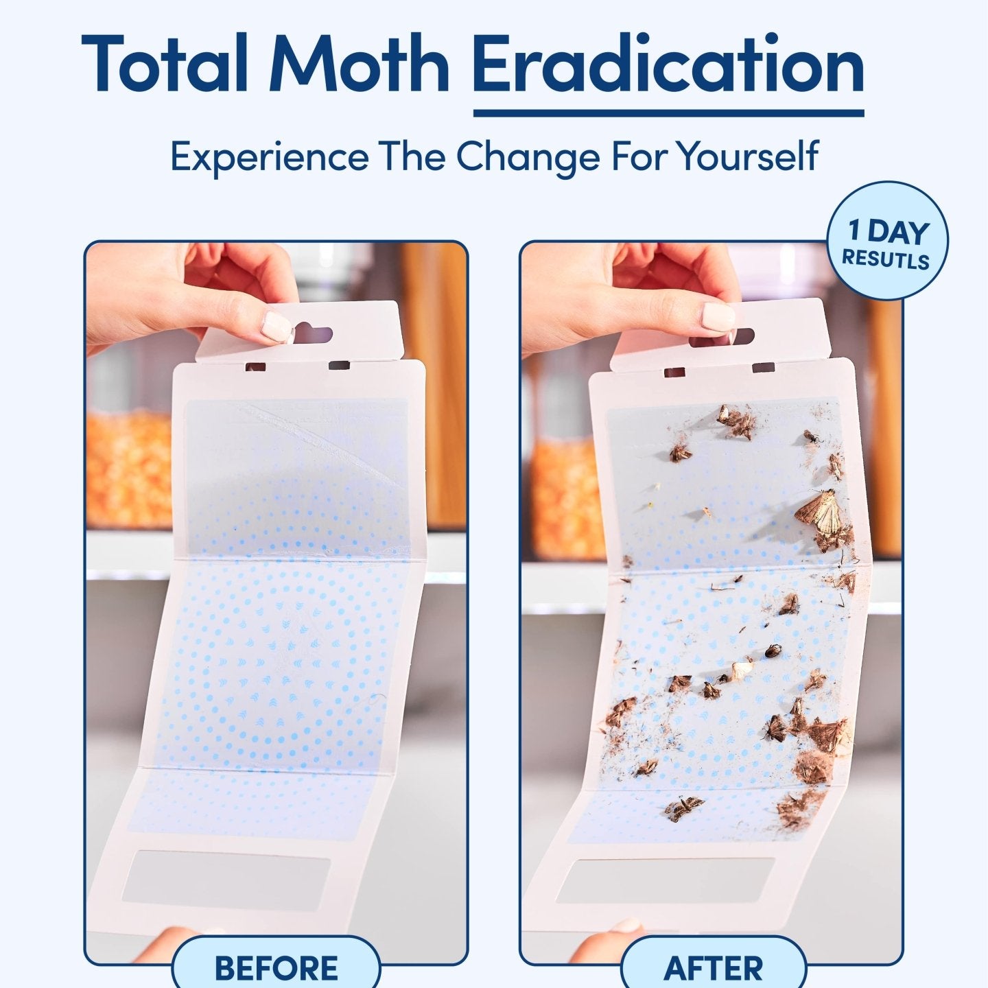Shieldeck Pantry Moth Traps with Pheromones Prime (8 - Pack) - Shieldeck