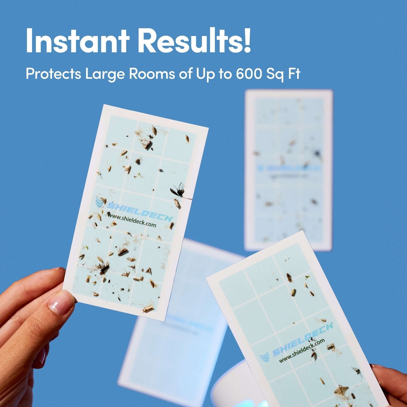 Sticky Pad Refills Subscription - Every 30 days - Shieldeck