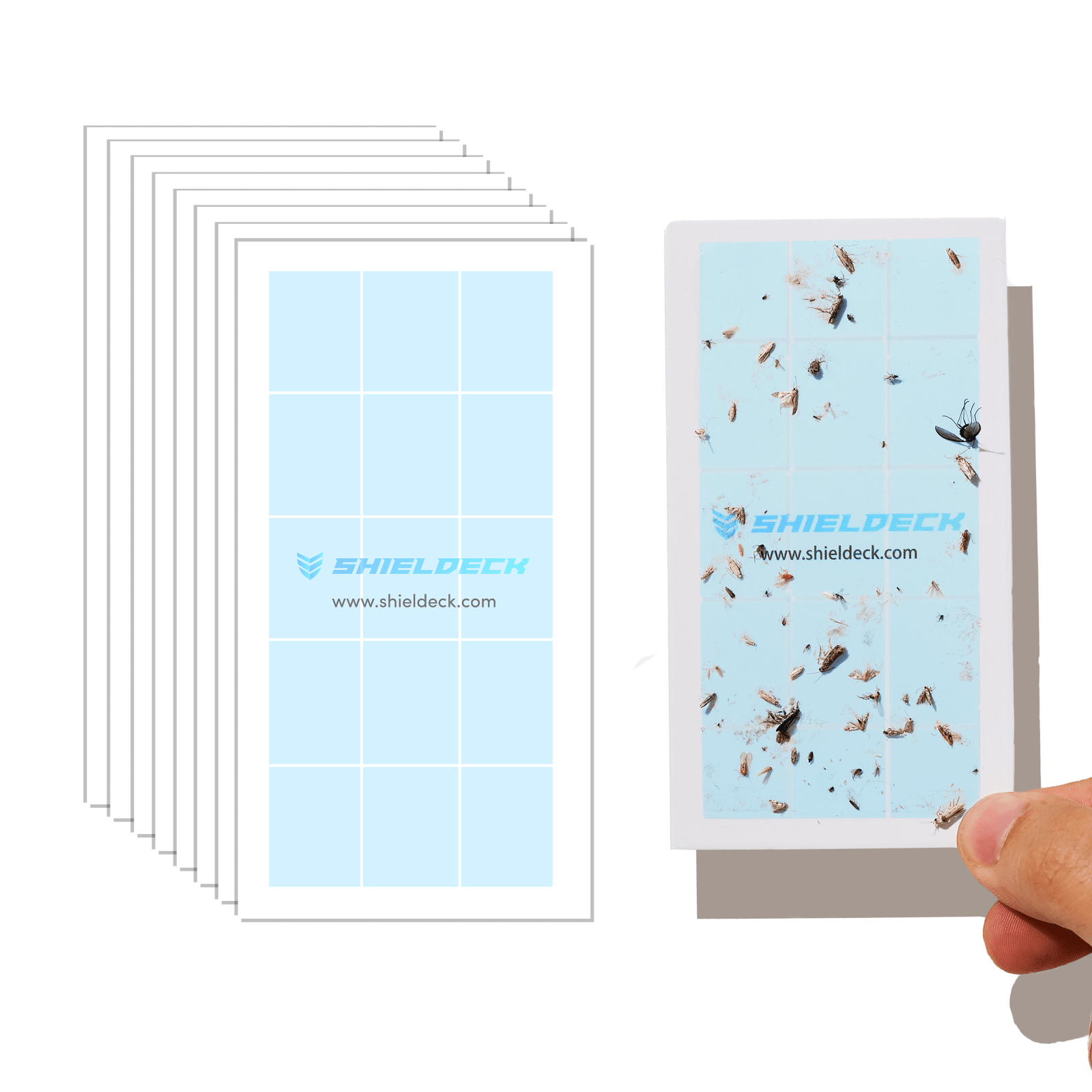 Shieldeck BuzzTrap 2.0 Refills - Flying Insect Trap Plug in - Indoor Fruit Fly Trap, Gnat Trap, and Mosquito Trap - Bug Catcher Traps with UV Light for House Indoors (1 Device + 5 Refills) (Refills) - Shieldeck