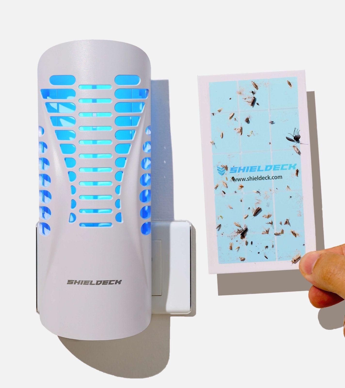 Shieldeck® BuzzTrap – Smart Indoor UV Trap for Flies, Gnats, Mosquitoes, Fruit Flies & More - Shieldeck