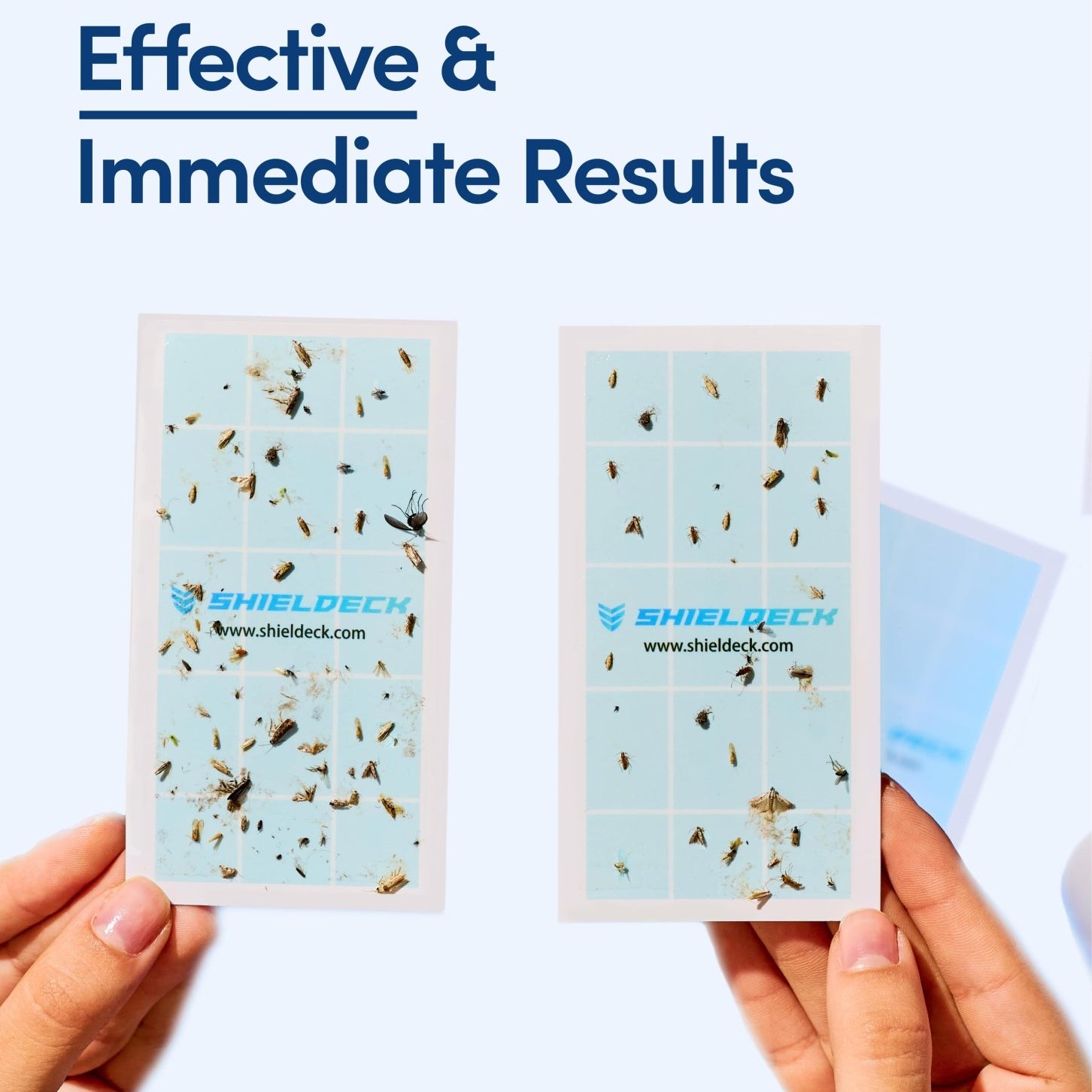 Shieldeck® BuzzTrap – Smart Indoor UV Trap for Flies, Gnats, Mosquitoes, Fruit Flies & More (Copy) - Shieldeck