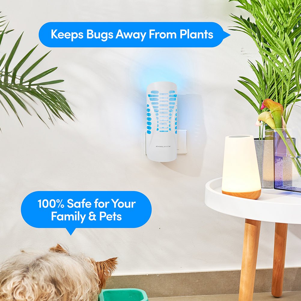 Guardian Kit (4 Traps + 4 Refills Packs) - Shieldeck