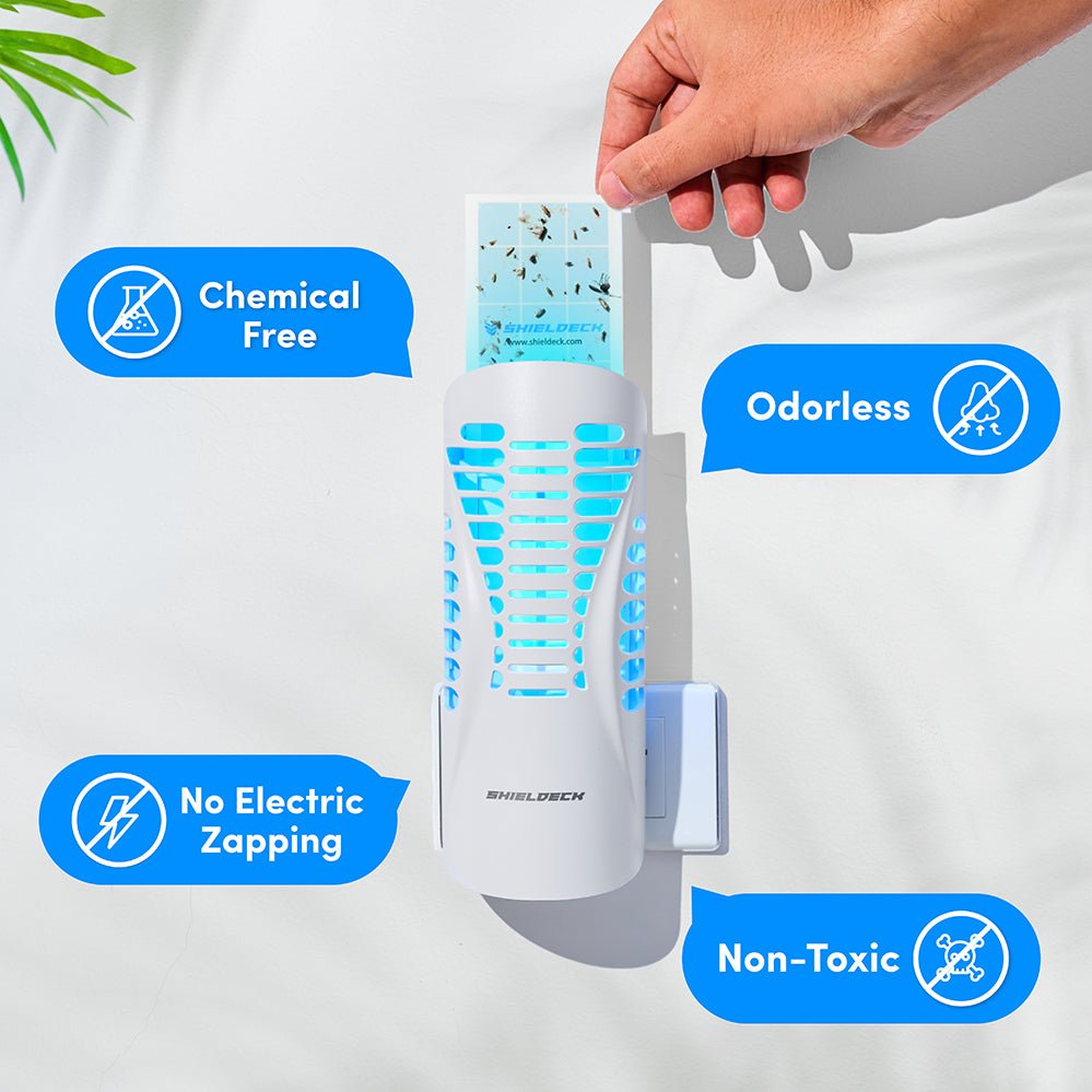 Guardian Kit (4 Traps + 4 Refills Packs) - Shieldeck