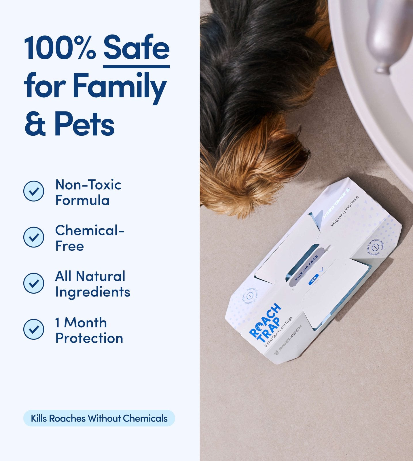 Shieldeck Roach Traps Indoor (12 Pack) - Shieldeck