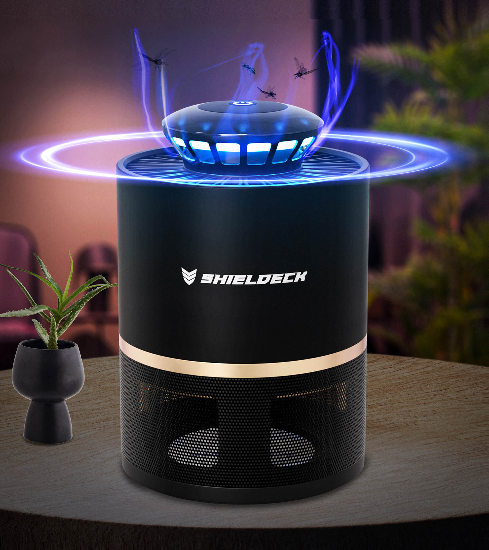 Smart Flying Insect Trap  Gnat, Fly, Mosquito, and Fruit Fly Trap –  Shieldeck