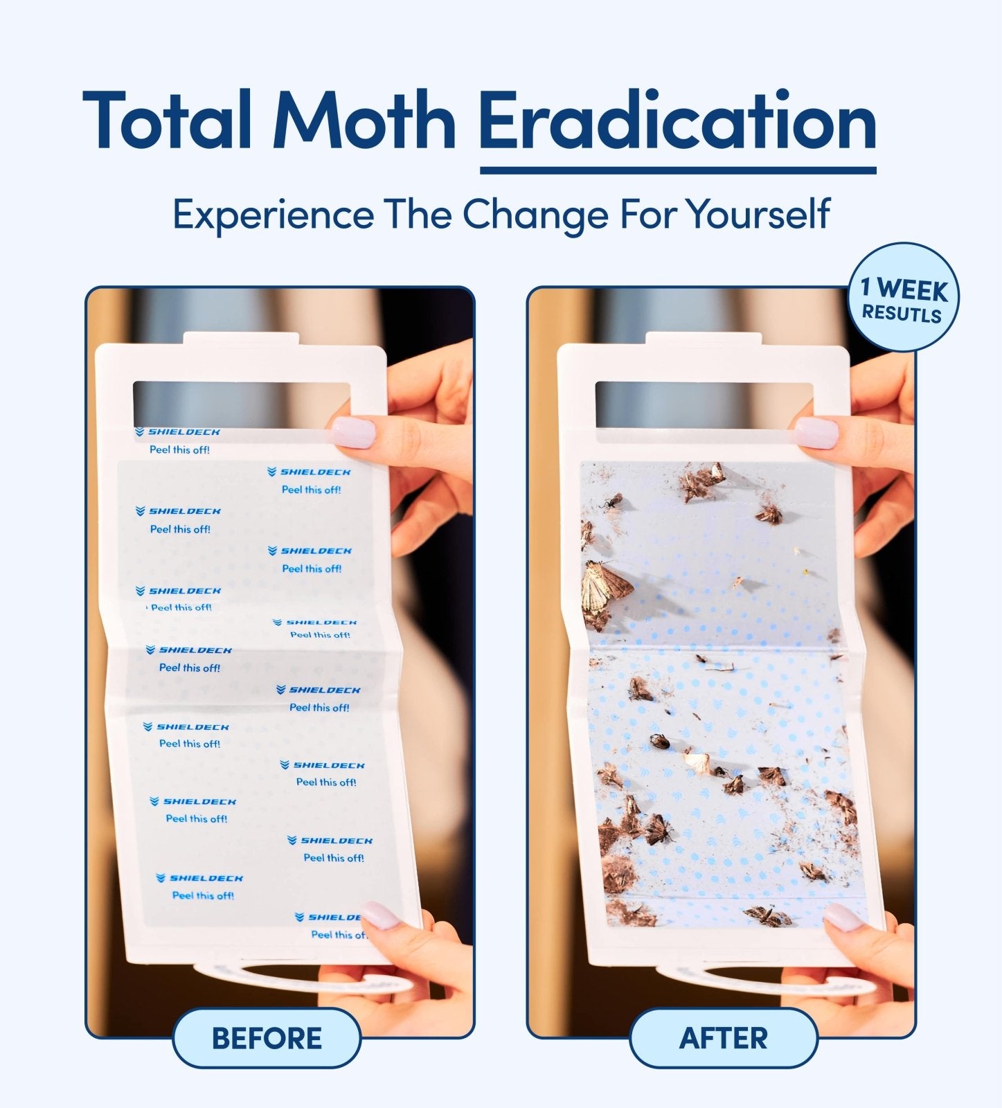 Shieldeck Moth Traps for Clothes with Pheromones (8 - Pack) - Shieldeck