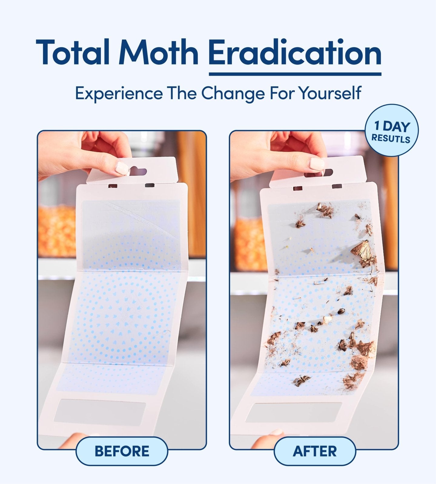 Shieldeck Pantry Moth Traps with Pheromones Prime (8 - Pack) - Shieldeck
